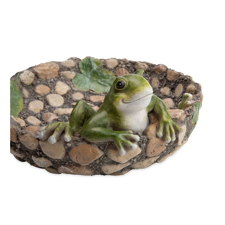 Wind & Weather Happy Frog Tabletop Bird Bath & Reviews | Wayfair